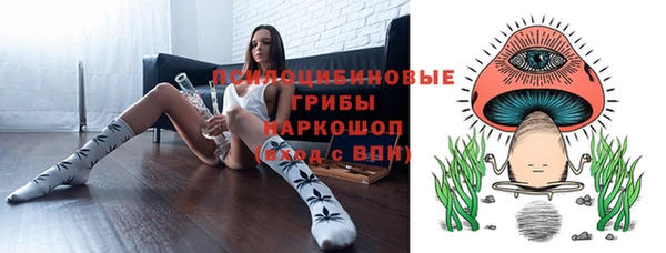 молекула духа Алексин