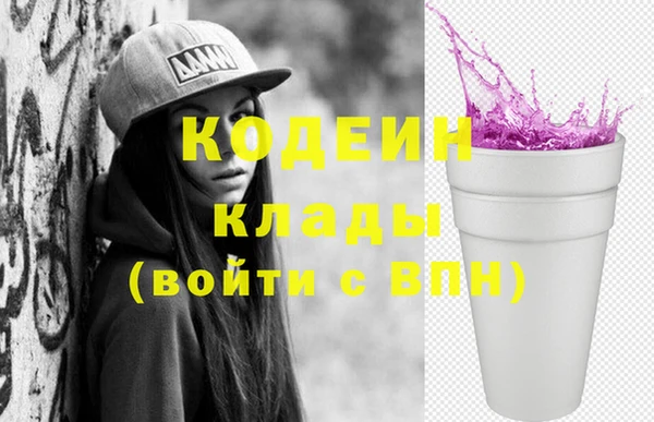 сатива Няндома