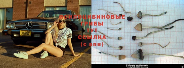 молекула духа Алексин
