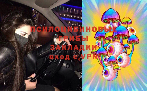 a pvp Алзамай