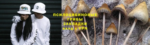 молекула духа Алексин