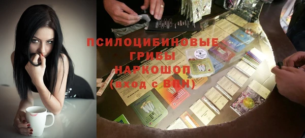a pvp Алзамай
